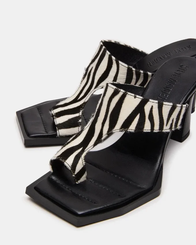 Alameda Zebra