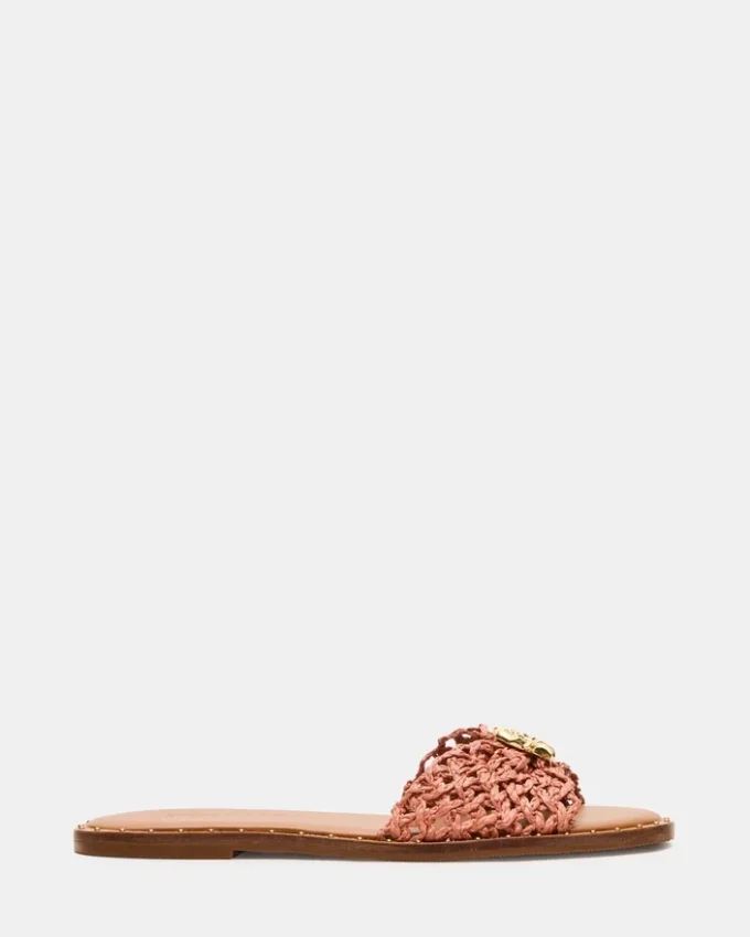 Dipsy Terracotta Conch Dipsy Terracotta Conch