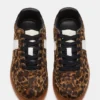 Dixon Leopard Dixon Leopard