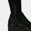 Draco Black