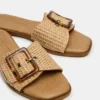 Happ Natural Raffia Happ Natural Raffia