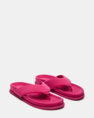 Zinnia Pink